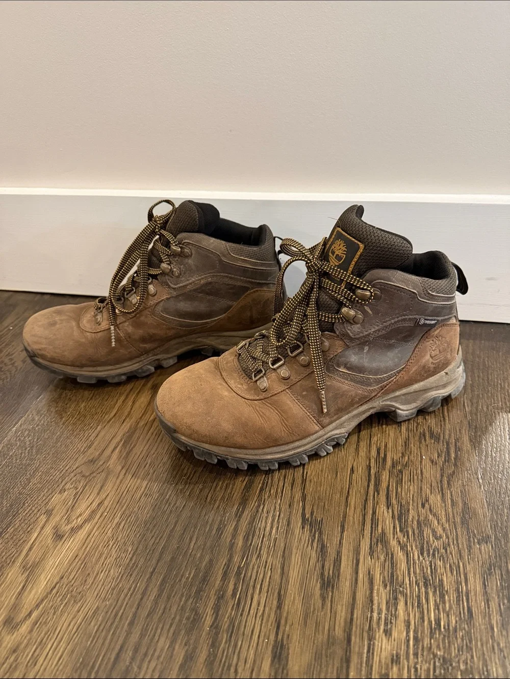 Timberland Tan Suede Mt. Madsen Hiking Boots